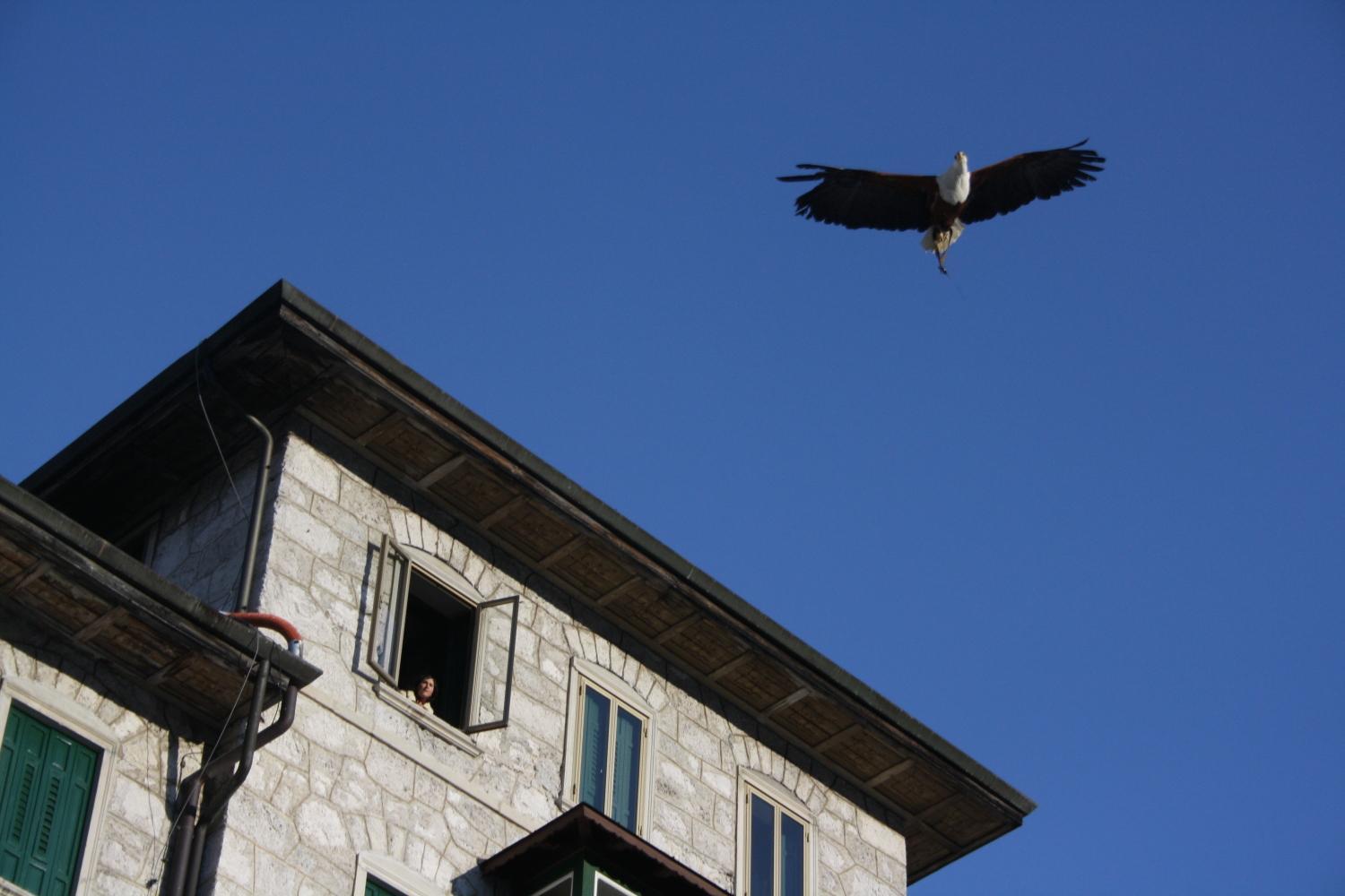 Th Borca Di Cadore - Park Hotel Des Dolomites Ngoại thất bức ảnh