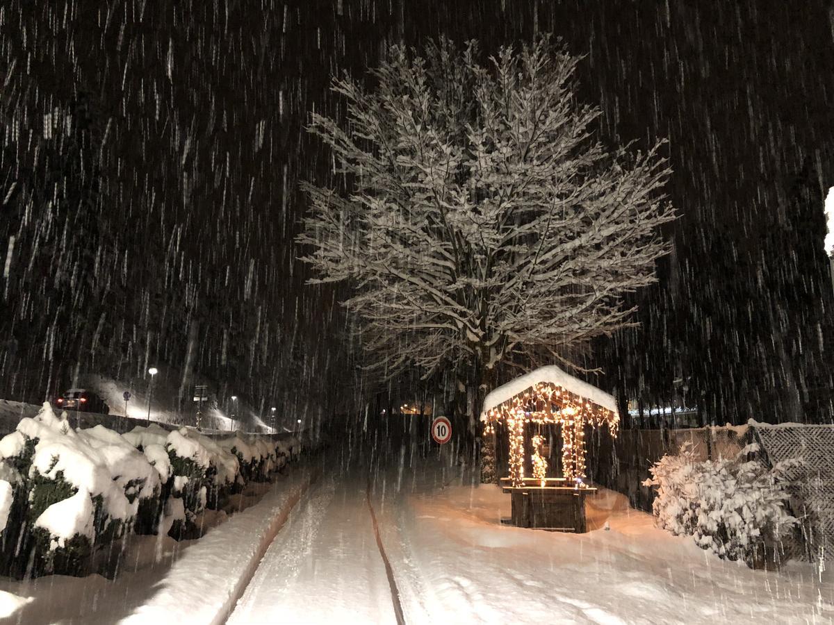 Th Borca Di Cadore - Park Hotel Des Dolomites Ngoại thất bức ảnh