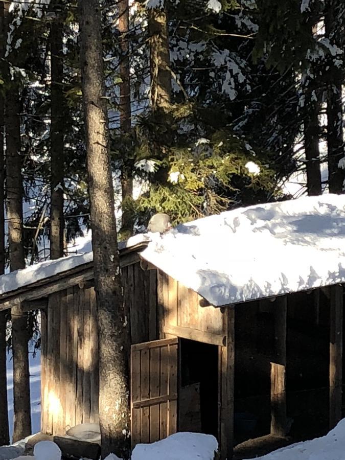 Th Borca Di Cadore - Park Hotel Des Dolomites Ngoại thất bức ảnh